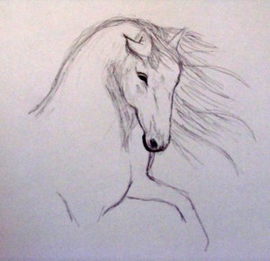 Croquis white horse